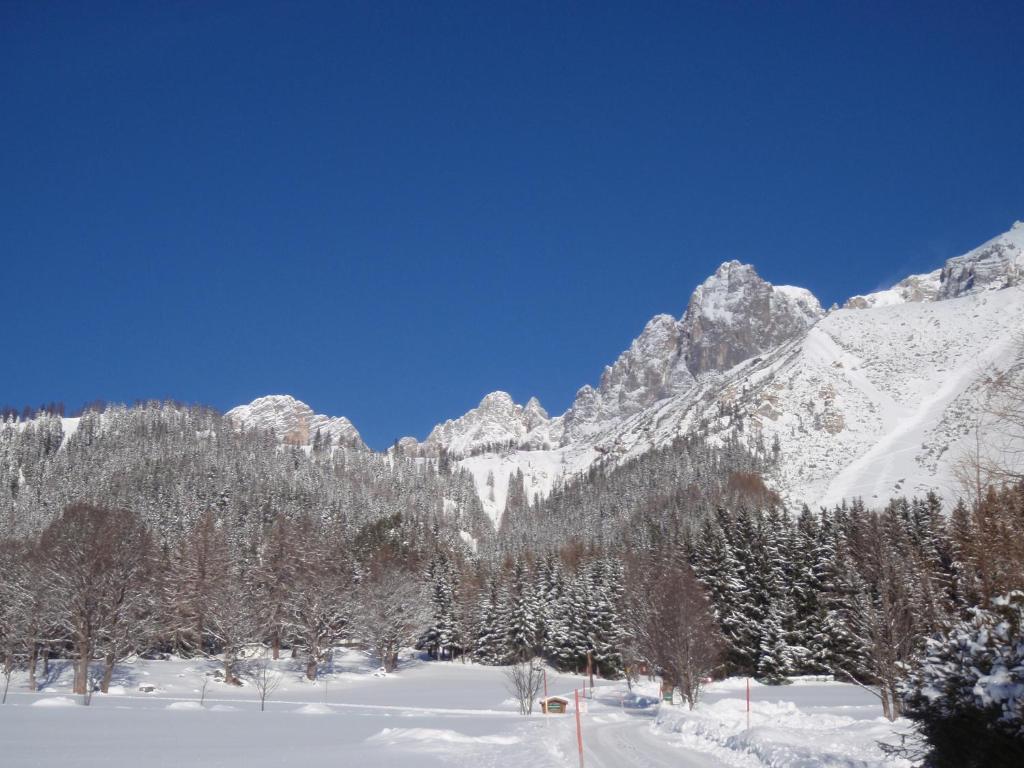 Gasthof Edelbrunn Hotell Ramsau am Dachstein Exteriör bild