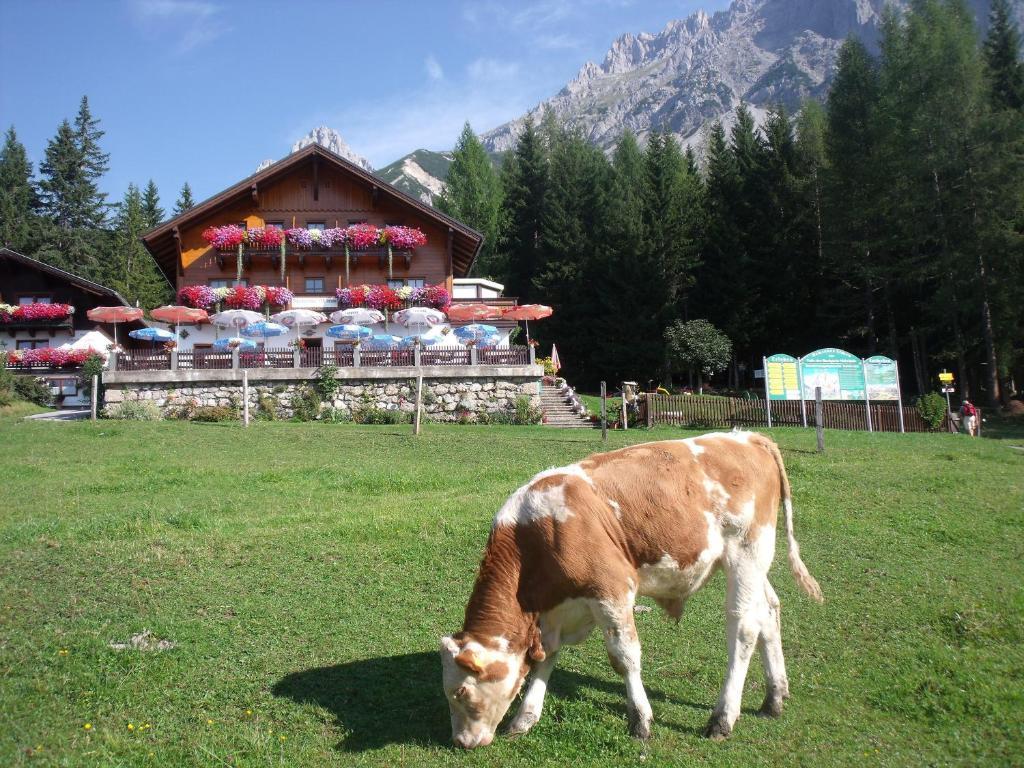 Gasthof Edelbrunn Hotell Ramsau am Dachstein Exteriör bild